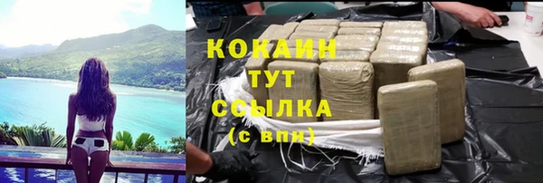 тгк Няндома