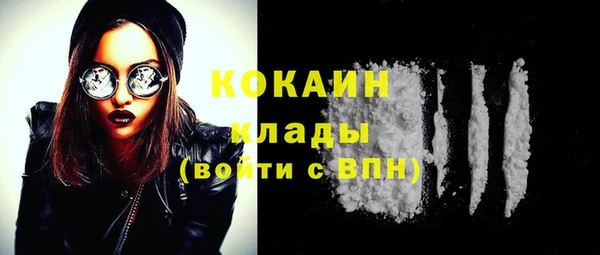 тгк Няндома