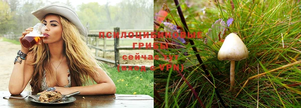 соль ск Белая Холуница