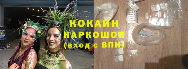 тгк Няндома